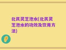 北芪灵芝泡水(北芪灵芝泡水的功效及饮用方法)