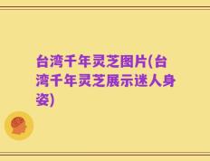 台湾千年灵芝图片(台湾千年灵芝展示迷人身姿)