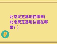 北京灵芝基地在哪里(北京灵芝基地位置在哪里？)