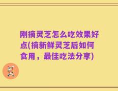 刚摘灵芝怎么吃效果好点(摘新鲜灵芝后如何食用，最佳吃法分享)