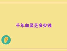 千年血灵芝多少钱