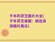 千年的灵芝图片大全(千年灵芝美图：精选高清图片展示)