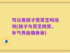 可以用鸽子煲灵芝吗功效(鸽子与灵芝同煲，补气养血强身体)