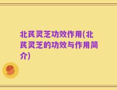 北芪灵芝功效作用(北芪灵芝的功效与作用简介)