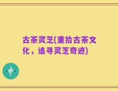 古茶灵芝(重拾古茶文化，追寻灵芝奇迹)