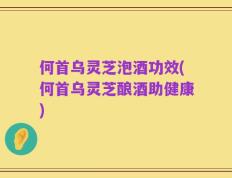 何首乌灵芝泡酒功效(何首乌灵芝酿酒助健康)