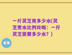 一斤灵芝用多少水(灵芝煮水比例攻略：一斤灵芝需要多少水？)