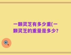 一颗灵芝有多少重(一颗灵芝的重量是多少？