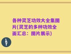 各种灵芝功效大全集图片(灵芝的多种功效全面汇总：图片展示)