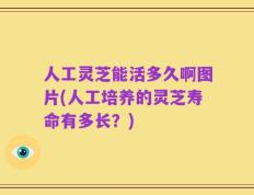 人工灵芝能活多久啊图片(人工培养的灵芝寿命有多长？)