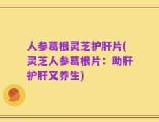 人参葛根灵芝护肝片(灵芝人参葛根片：助肝护肝又养生)