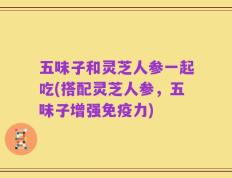 五味子和灵芝人参一起吃(搭配灵芝人参，五味子增强免疫力)