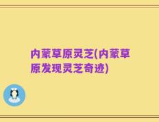 内蒙草原灵芝(内蒙草原发现灵芝奇迹)