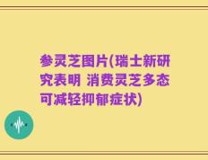 参灵芝图片(瑞士新研究表明 消费灵芝多态可减轻抑郁症状)