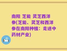 南阳 芝能 灵芝西洋参(芝能、灵芝和西洋参在南阳种植：走进中药材产业)