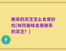 刚采的灵芝怎么食用好吃(如何美味食用刚采的灵芝？)