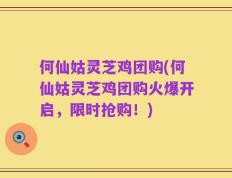 何仙姑灵芝鸡团购(何仙姑灵芝鸡团购火爆开启，限时抢购！)