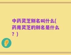 中药灵芝别名叫什么(药用灵芝的别名是什么？)