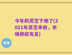 今年的灵芝下地了(2021年灵芝丰收，市场供应充足)