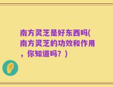 南方灵芝是好东西吗(南方灵芝的功效和作用，你知道吗？)