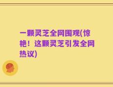 一颗灵芝全网围观(惊艳！这颗灵芝引发全网热议)
