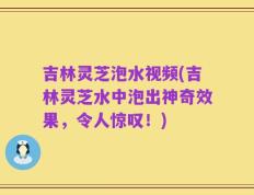 吉林灵芝泡水视频(吉林灵芝水中泡出神奇效果，令人惊叹！)