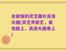 会做饭的灵芝图片高清大图(灵芝秀厨艺，美食献上，高清大图奉上)