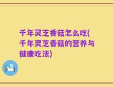 千年灵芝香菇怎么吃(千年灵芝香菇的营养与健康吃法)