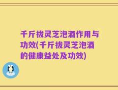 千斤拔灵芝泡酒作用与功效(千斤拔灵芝泡酒的健康益处及功效)
