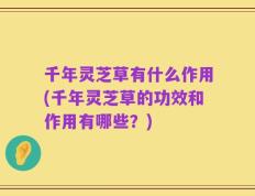千年灵芝草有什么作用(千年灵芝草的功效和作用有哪些？)