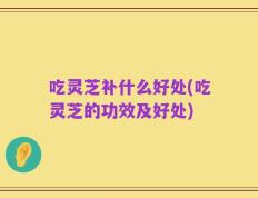 吃灵芝补什么好处(吃灵芝的功效及好处)