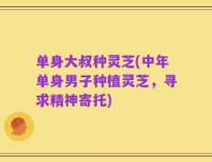 单身大叔种灵芝(中年单身男子种植灵芝，寻求精神寄托)