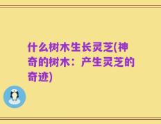 什么树木生长灵芝(神奇的树木：产生灵芝的奇迹)
