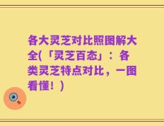 各大灵芝对比照图解大全(「灵芝百态」：各类灵芝特点对比，一图看懂！)