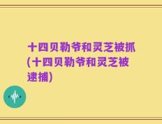 十四贝勒爷和灵芝被抓(十四贝勒爷和灵芝被逮捕)