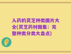 入药的灵芝种类图片大全(灵芝药材图集：完整种类分类大盘点)