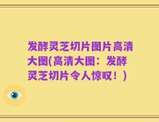 发酵灵芝切片图片高清大图(高清大图：发酵灵芝切片令人惊叹！)