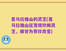 喜马拉雅山的灵芝(喜马拉雅山区发现珍稀灵芝，被誉为奇珍异宝)