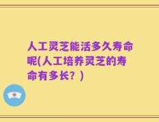 人工灵芝能活多久寿命呢(人工培养灵芝的寿命有多长？)