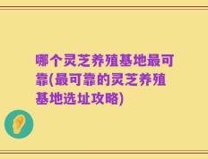 哪个灵芝养殖基地最可靠(最可靠的灵芝养殖基地选址攻略)