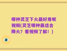 哪种灵芝下火最好用呢视频(灵芝哪种最适合降火？看视频了解！)