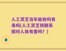人工灵芝当年能收吗有毒吗(人工灵芝初期采摘对人体有害吗？)