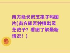 南方能长灵芝孢子吗图片(南方能否种植出灵芝孢子？看图了解最新情况！)