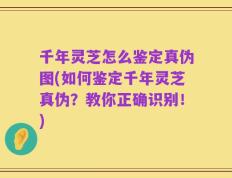 千年灵芝怎么鉴定真伪图(如何鉴定千年灵芝真伪？教你正确识别！)