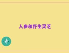 人参和野生灵芝