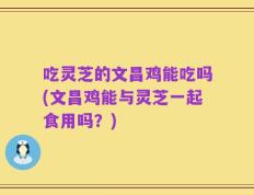 吃灵芝的文昌鸡能吃吗(文昌鸡能与灵芝一起食用吗？)