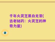 千年火灵芝黑白无常(古老秘药：火灵芝的神奇力量)