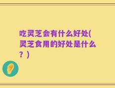 吃灵芝会有什么好处(灵芝食用的好处是什么？)