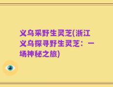 义乌采野生灵芝(浙江义乌探寻野生灵芝：一场神秘之旅)