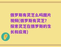 俄罗斯有灵芝么吗图片视频(俄罗斯有灵芝？探索灵芝在俄罗斯的生长和应用)